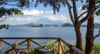 El millor hotel per veure els goril·les: Mutanda Lake Resort, Uganda