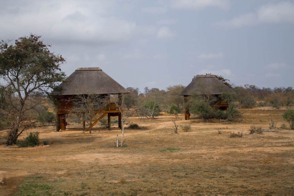 Nthambo Tree Camp - Klaserie Nature Reserve