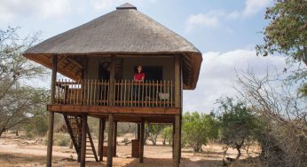 Nthambo Tree Camp: casa als arbres al parc nacional Kruger, Sud-Àfrica