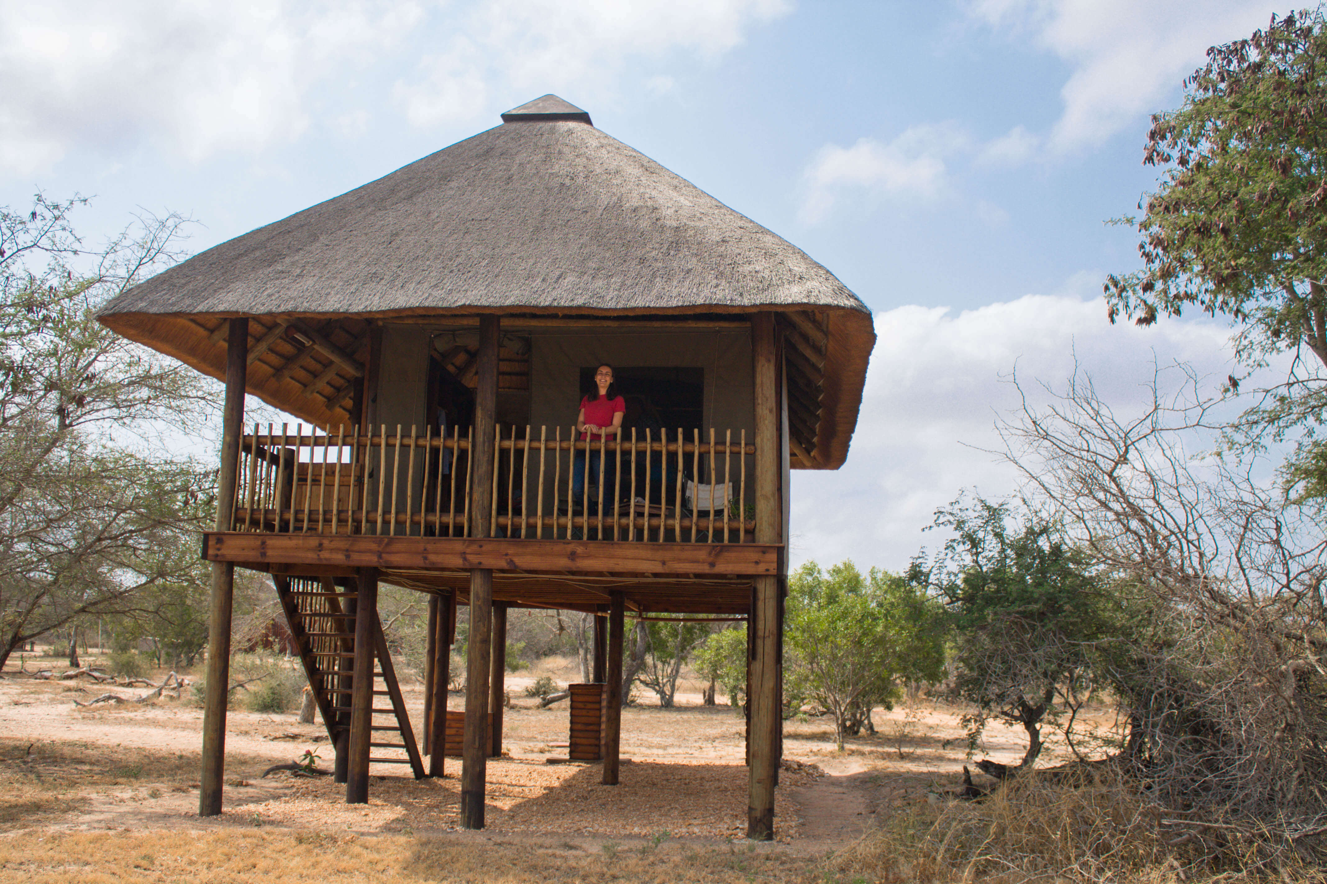 Sleeping in a treehouse in the Kruger NAtional Park, Souh Africa. Nthambo Tree Camp is located on the private concession of Klaserie