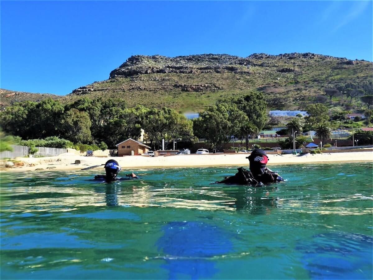 Certificat Open water a Cape Town: tot el que has de saber