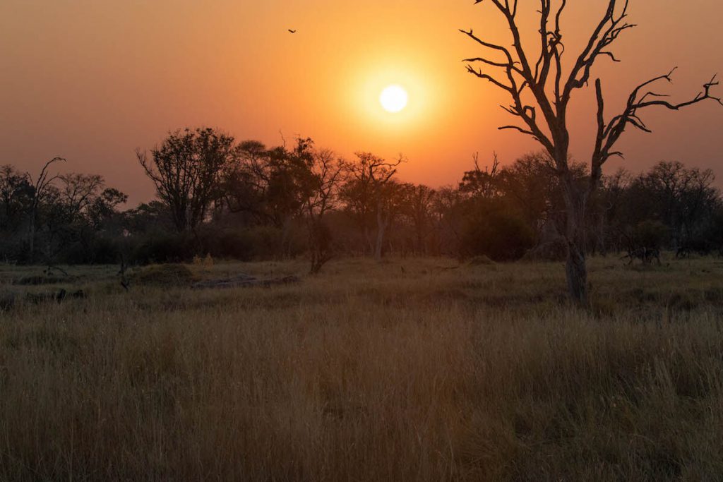 Postes de sol al Delta de l'Okavango