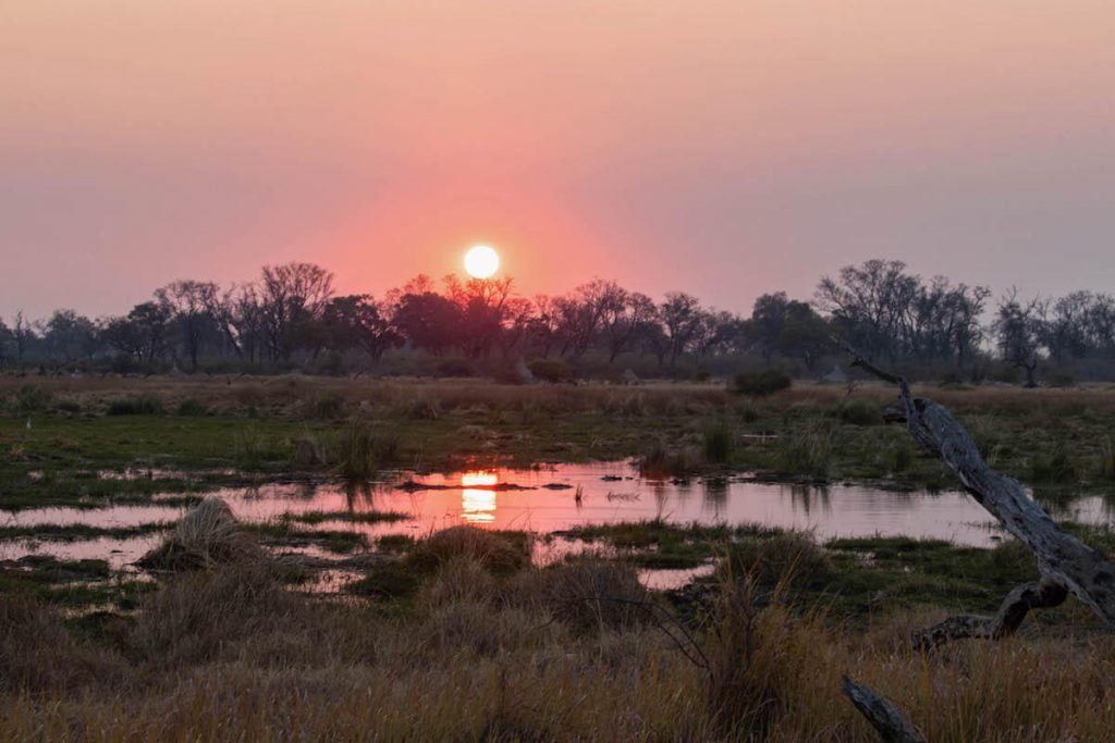 20 fotos per inspirar-te a visitar el Delta de l'Okavango a Botsuana