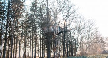 La casa a l’arbre més alta prop de Praga: Resort Green Valley