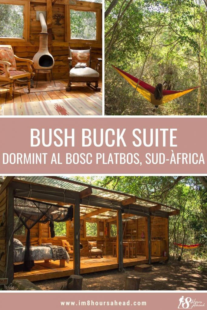 Dormint al Platbos Forest: Bush Buck Suite