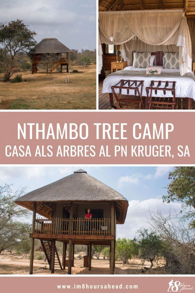 Nthambo Tree Camp casa a l'arbre al Kruger national park, Sud-Àfrica