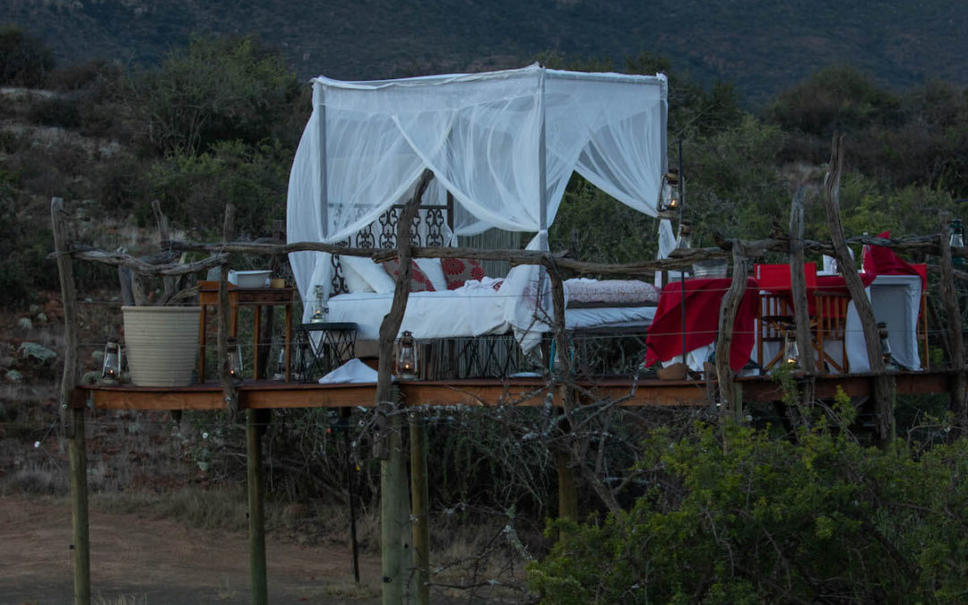 Dormint sota les estrelles: Star Bed al safari de Samara Game Reserve