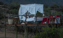 starbed_samara_sleepout