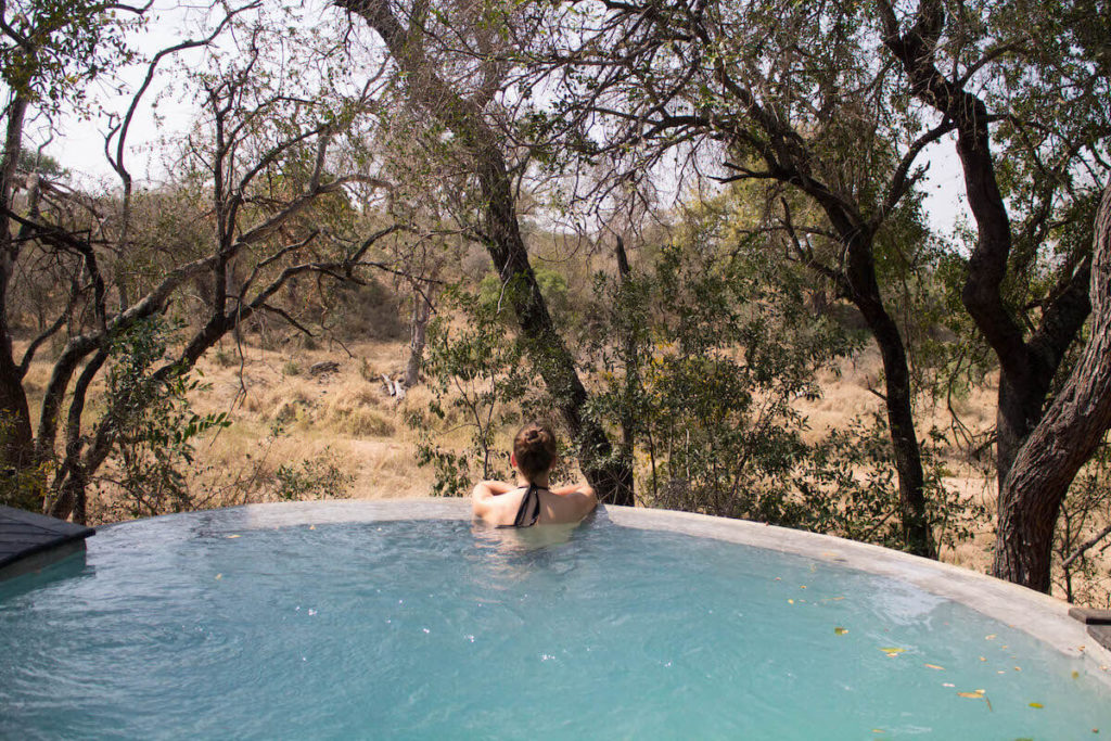 Piscina de Dulini Lodge al Kruger, Sud-Àfrica