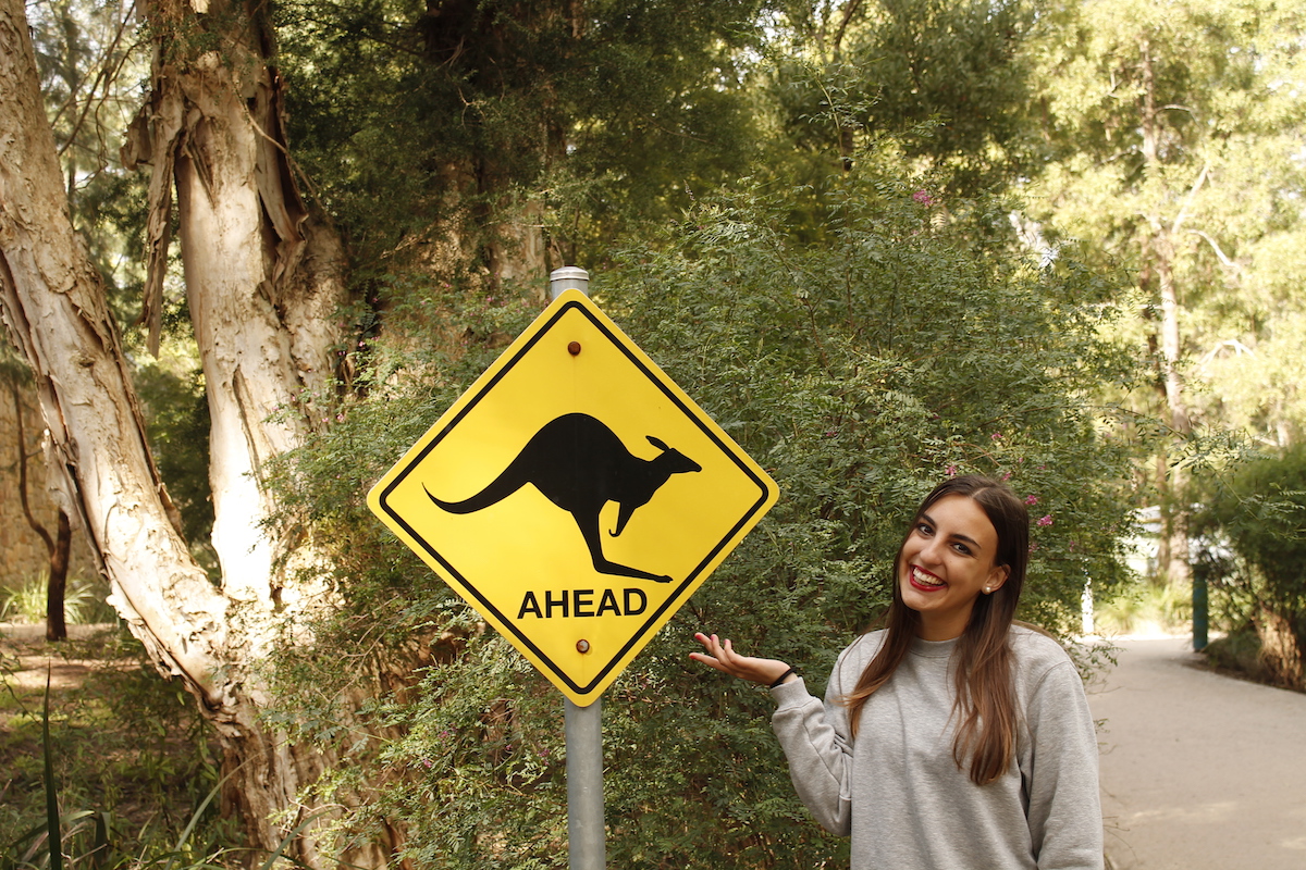 Healesville Sanctuary