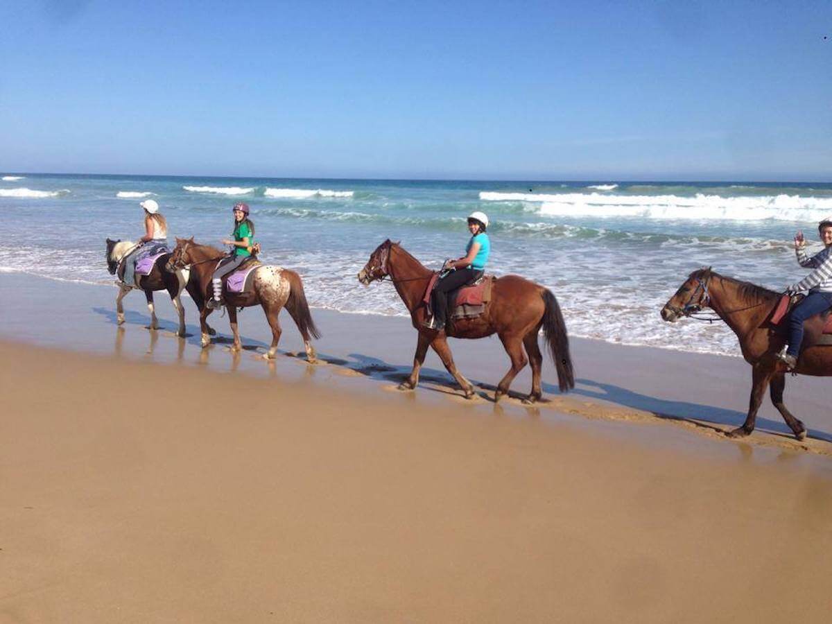 cantering on the beach