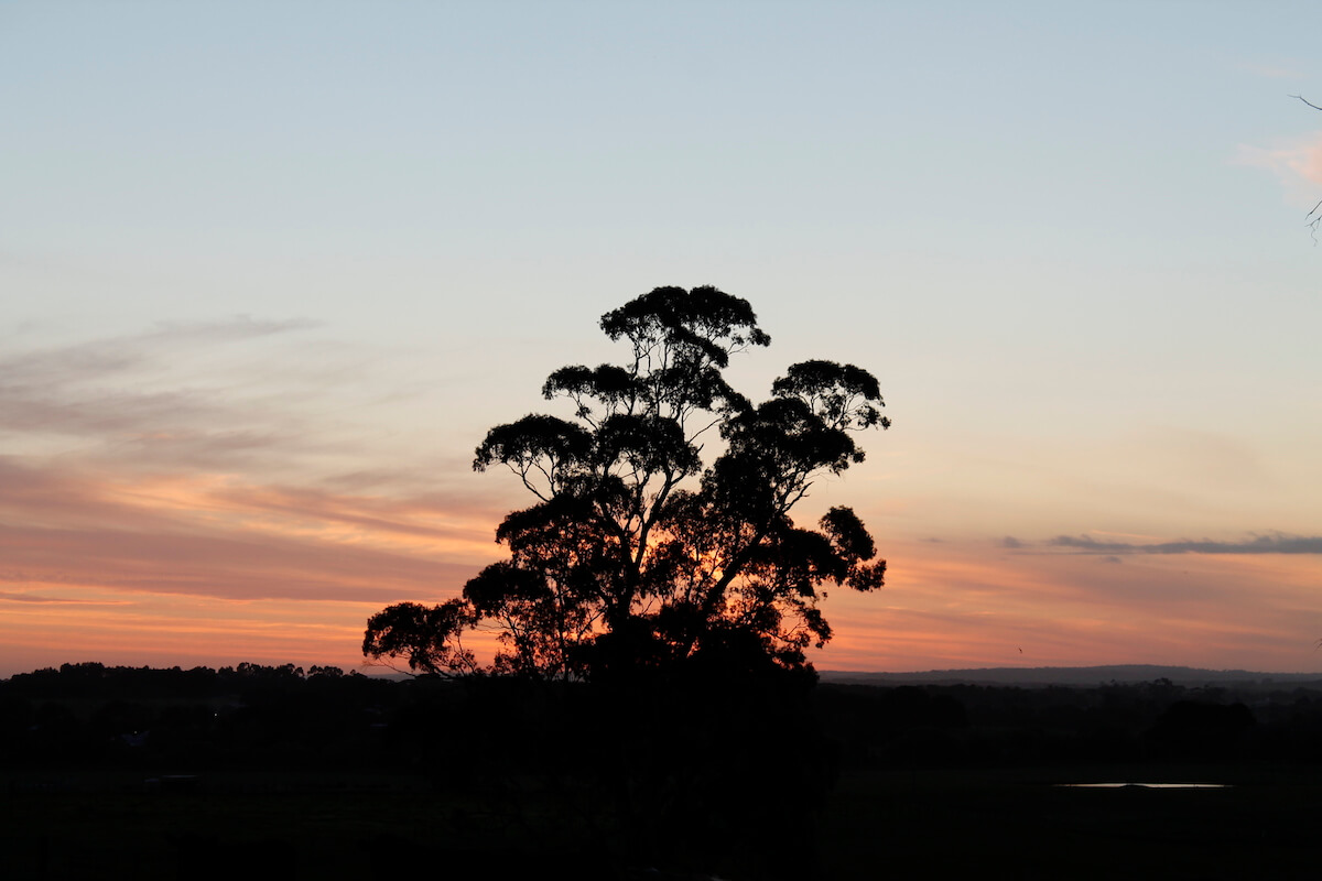 sunset from the paddocks