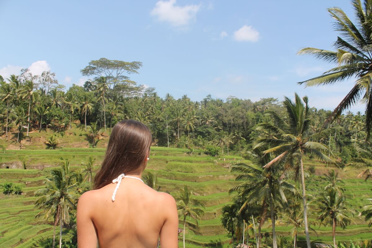 rice terraces in Bali