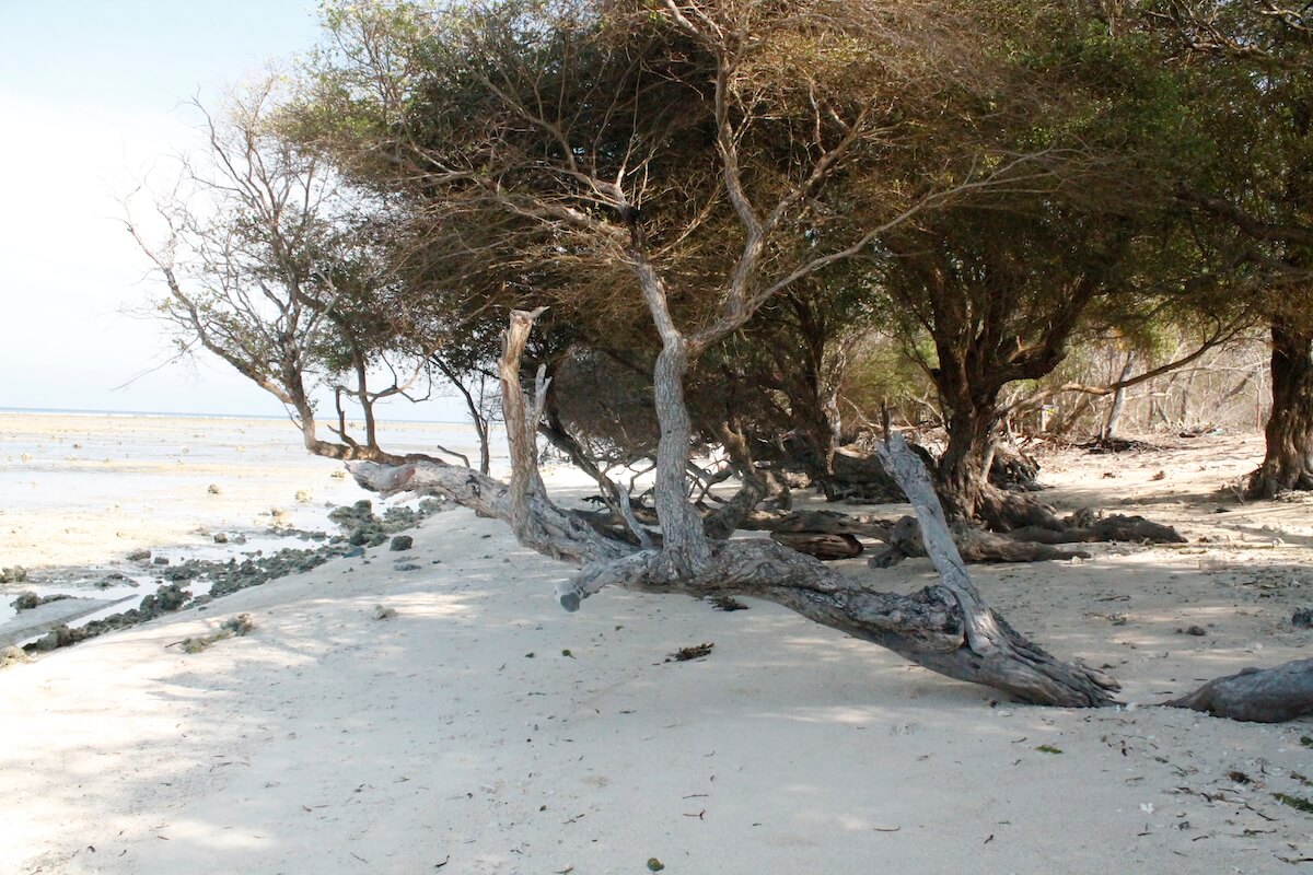 Gili Trawangan beach