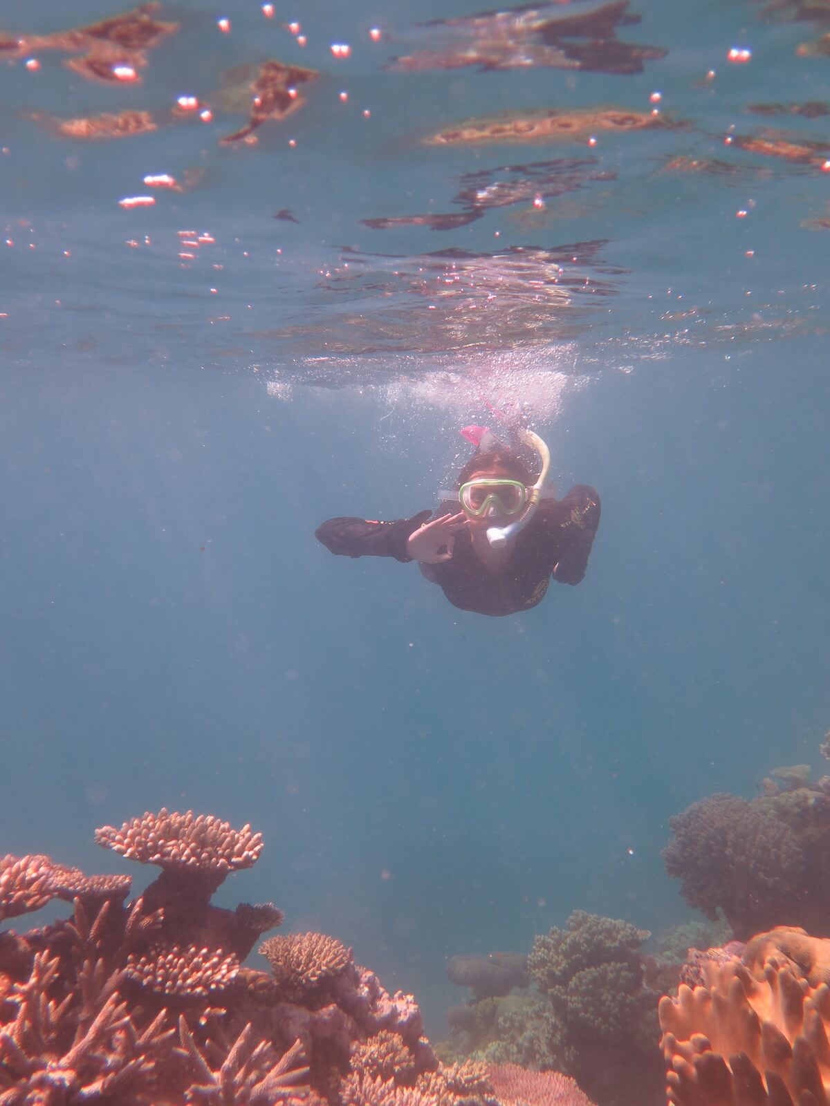 Snorkelling the Great Barrier Reef