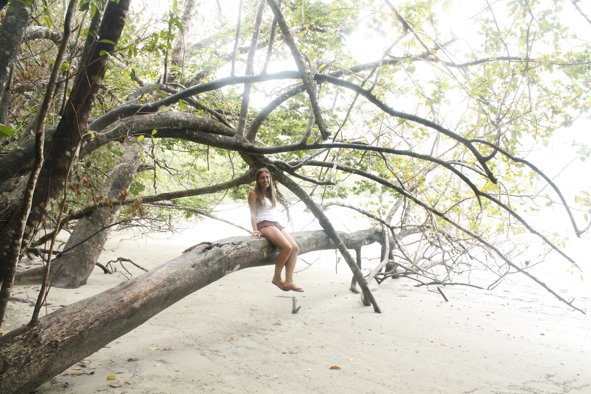 Cape Tribulation rainforest