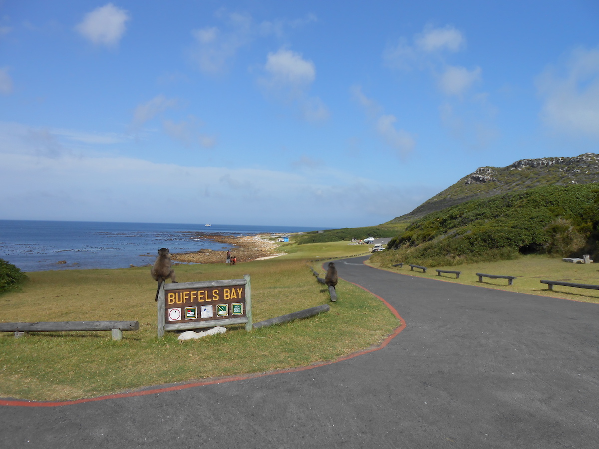 Table Mountain National Park event