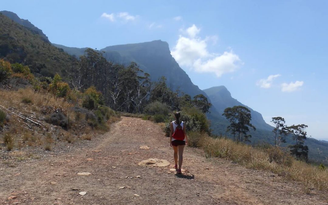 Table Mountain National Park