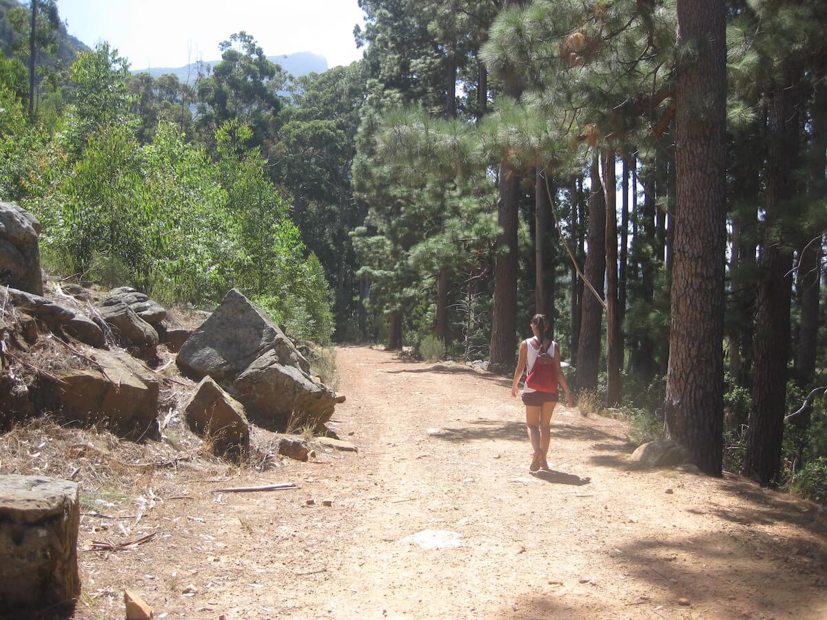 Constantia Nek hike