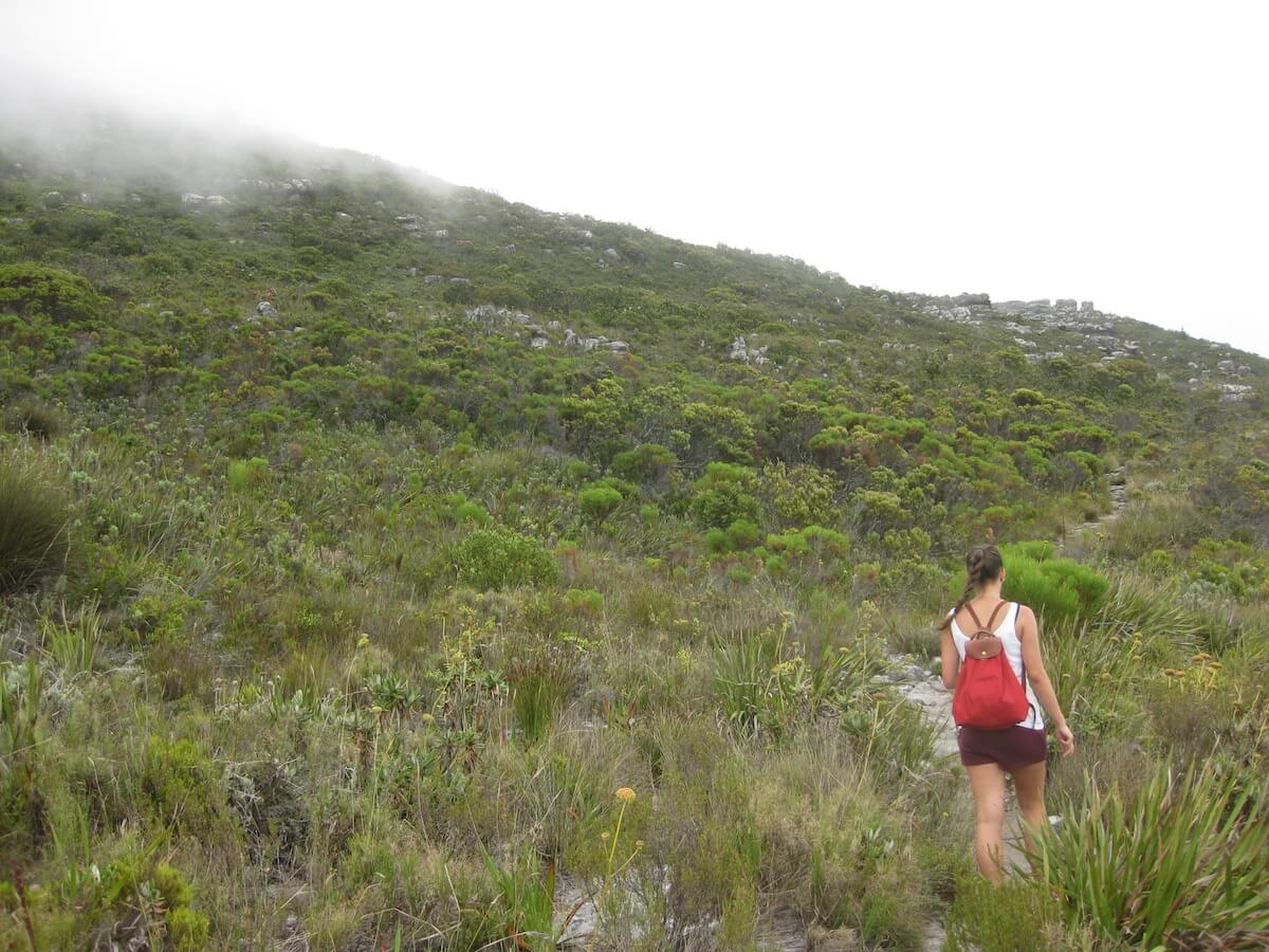 Constantia Nek hike