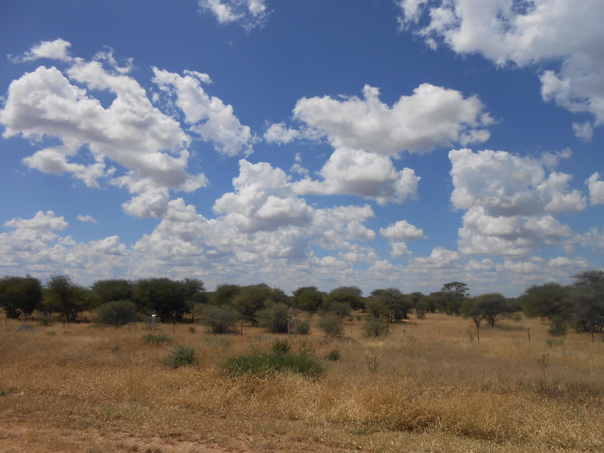 Etosha National Park