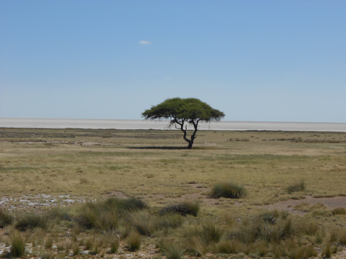 Etosha National Park