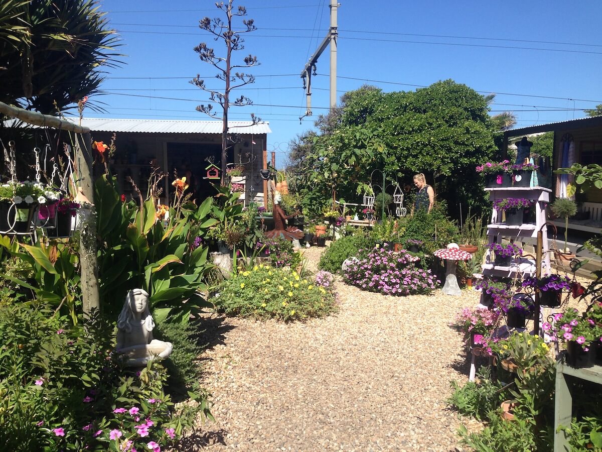 Garden in Muizenberg