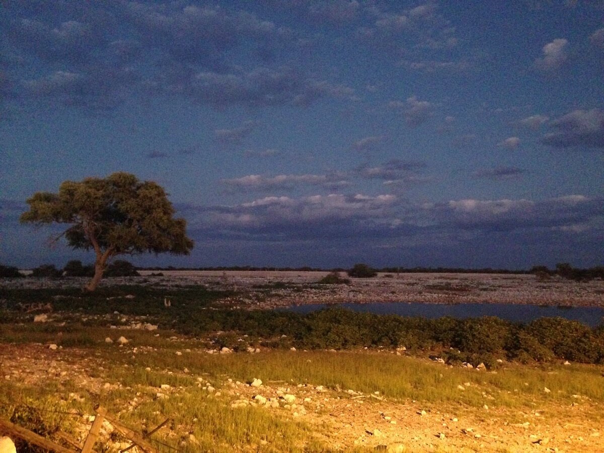 Etosha National Park