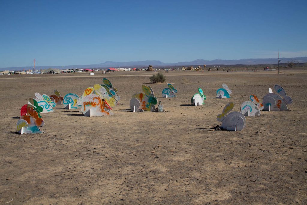 AfrikaBurn 2018