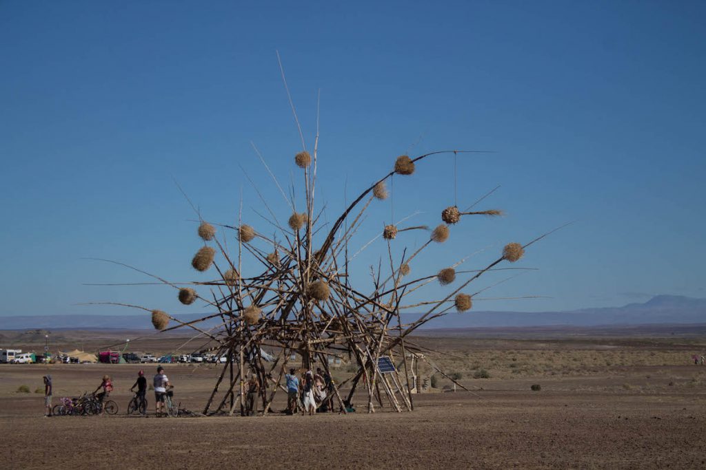 AfrikaBurn 2018