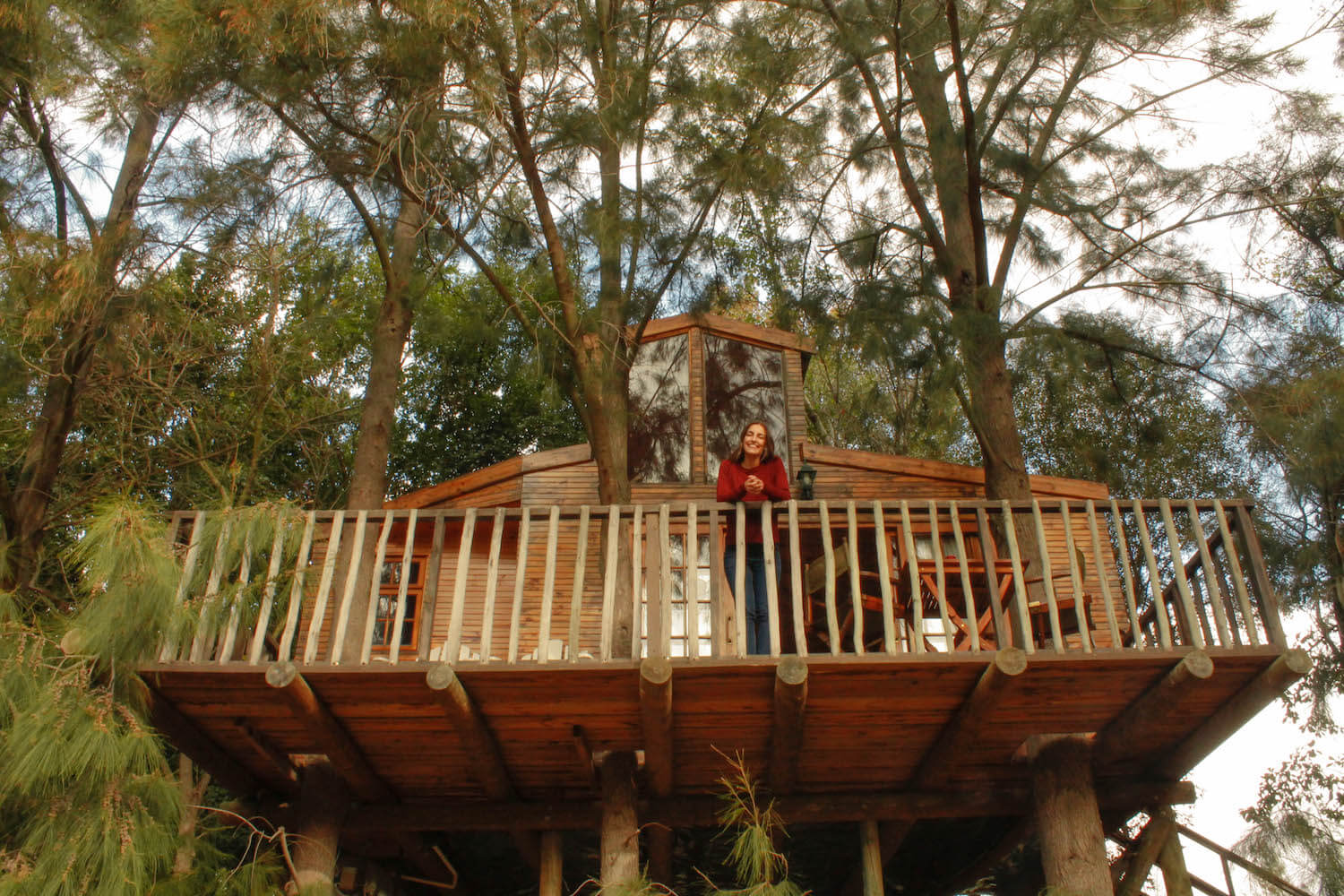 Tree house at Vindoux Guest Farm