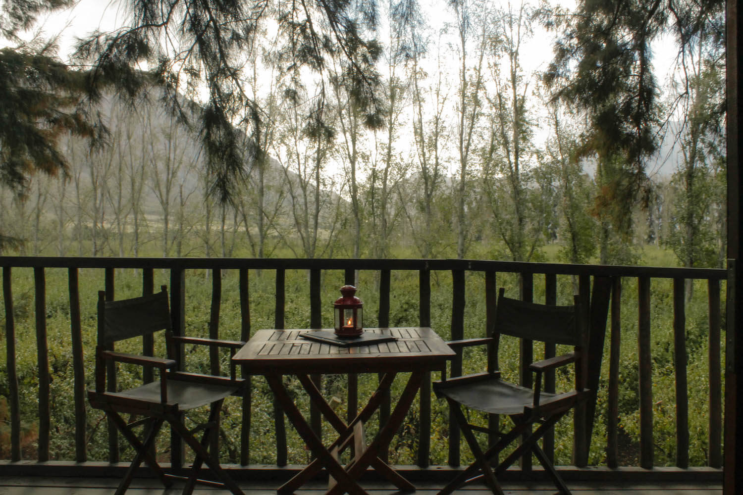 Balcony views from the tree house