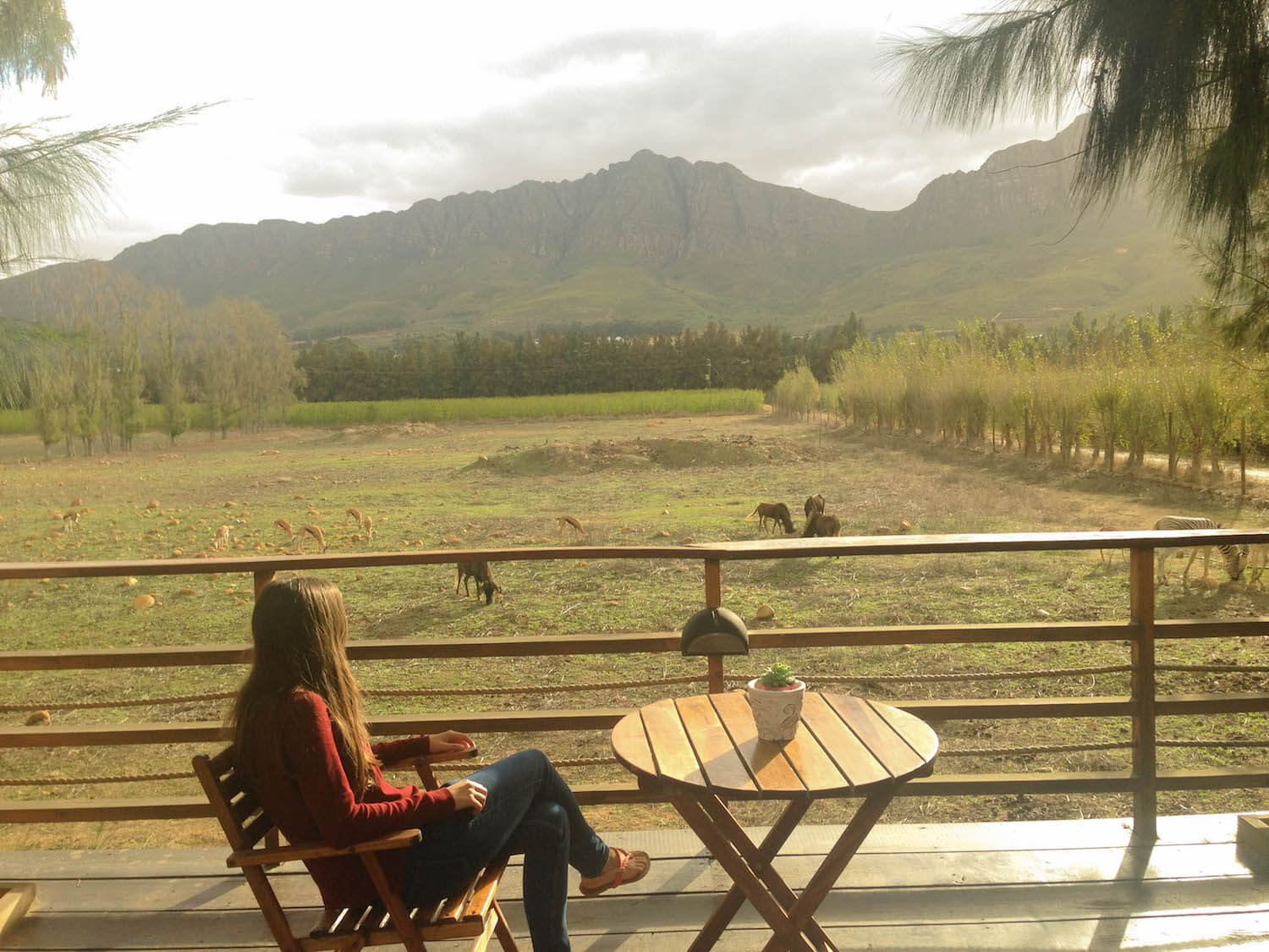 Animal viewing deck at Vindoux Guest Farm