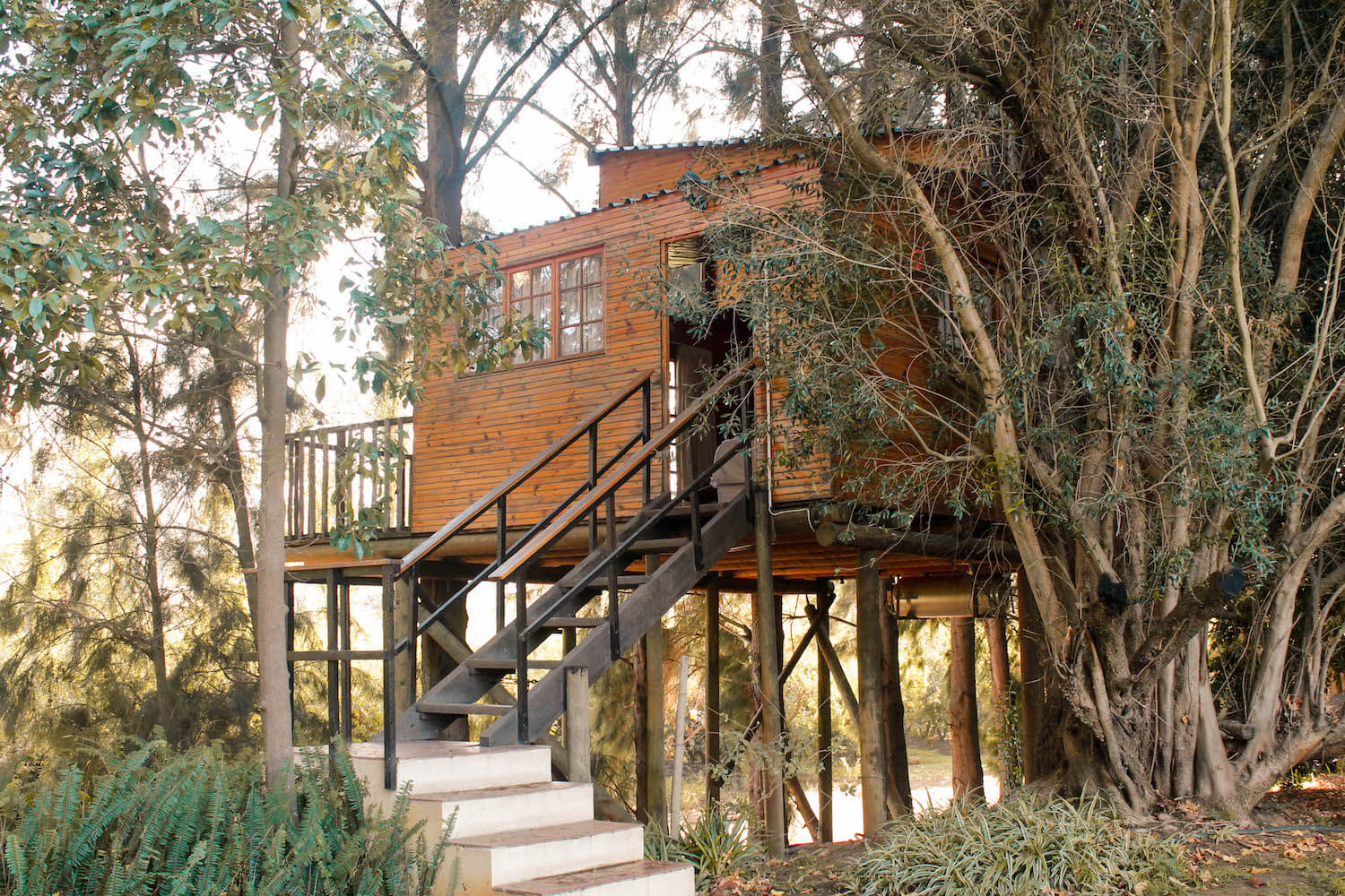 Tree house at Vindoux Guest Farm