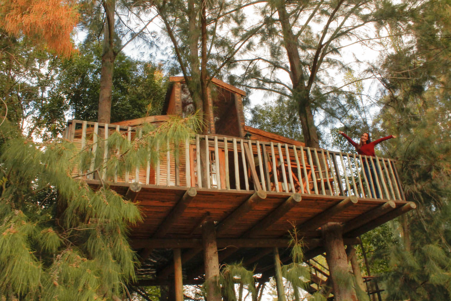 Tree house at Vindoux Guest Farm