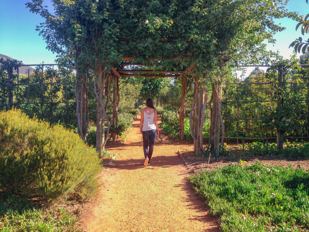 Babylonstoren, South Africa