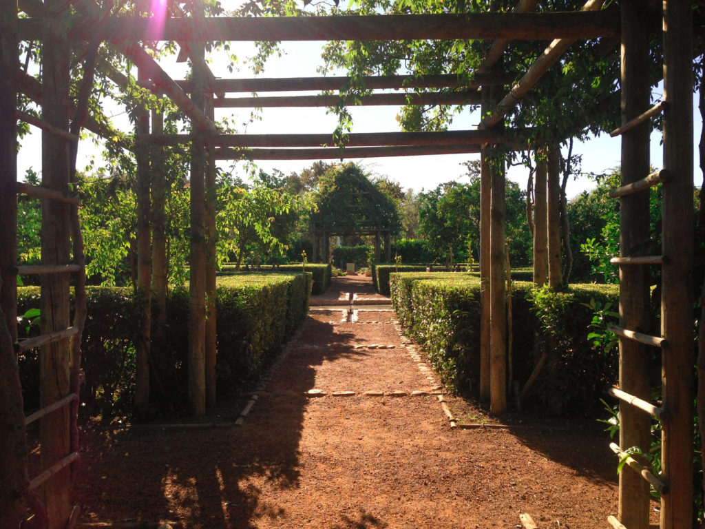 Babylonstoren's gardens