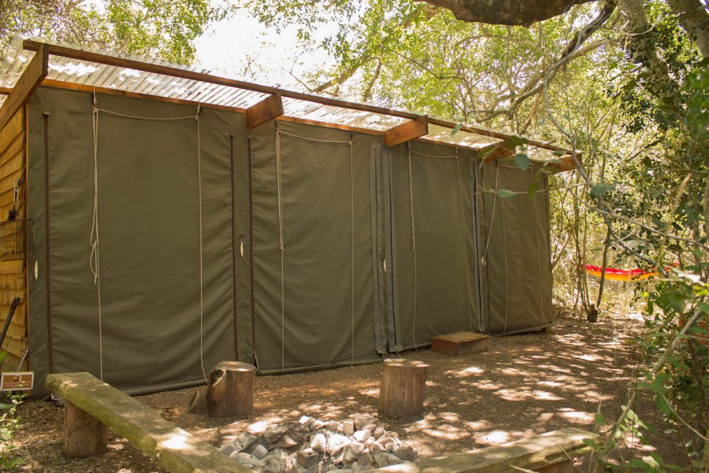 Platbos Forest Bush Buck Suite