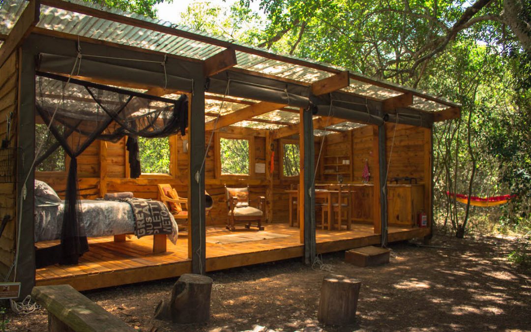Sleeping in the middle of Platbos Forest: Bush Buck Suite