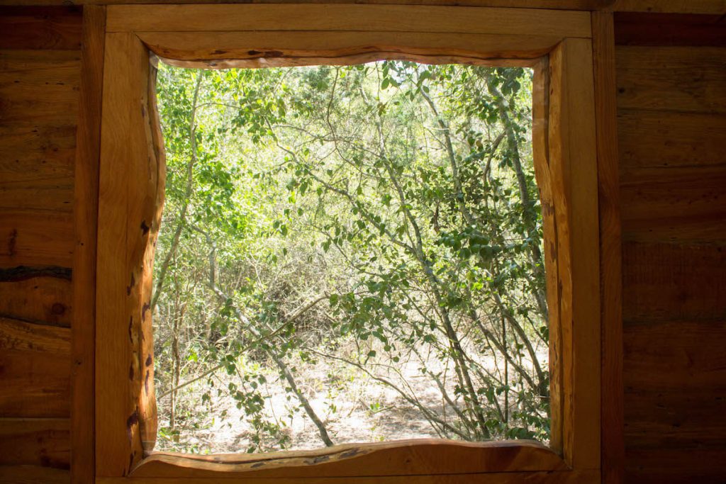 Platbos Forest Bush Buck Suite