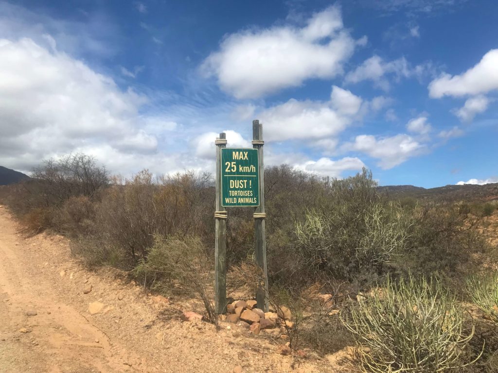 Gecko Creek tortoises sign