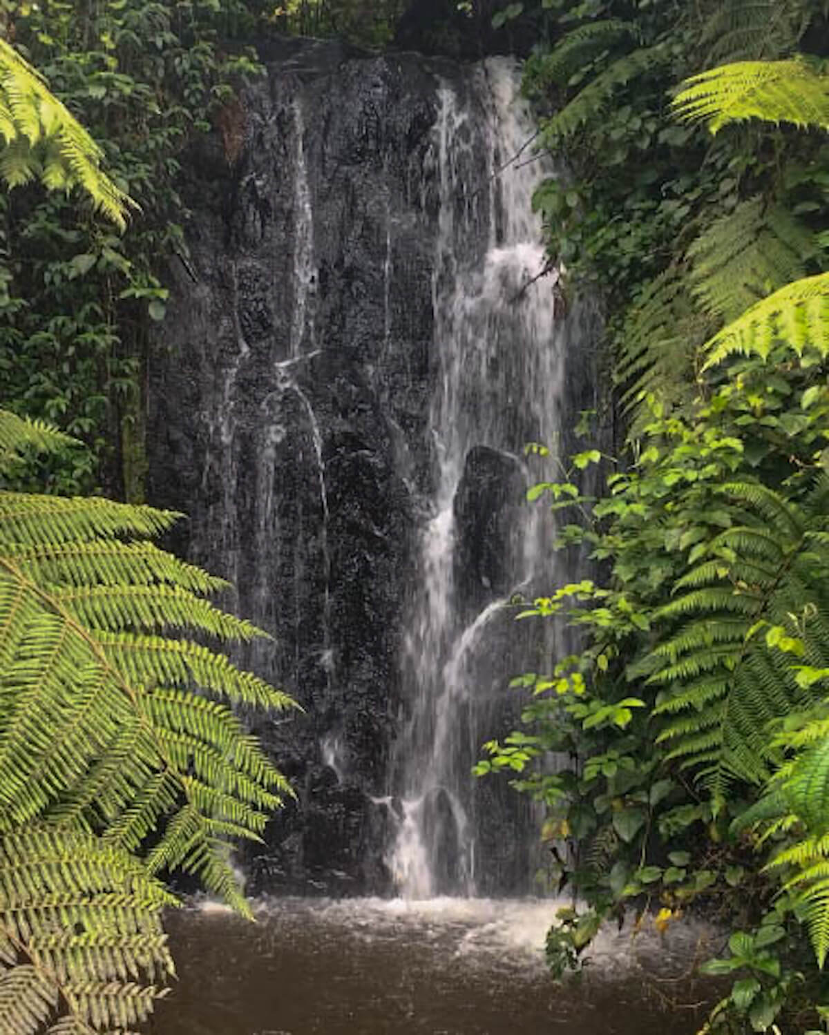 Bwindi waterfall hike