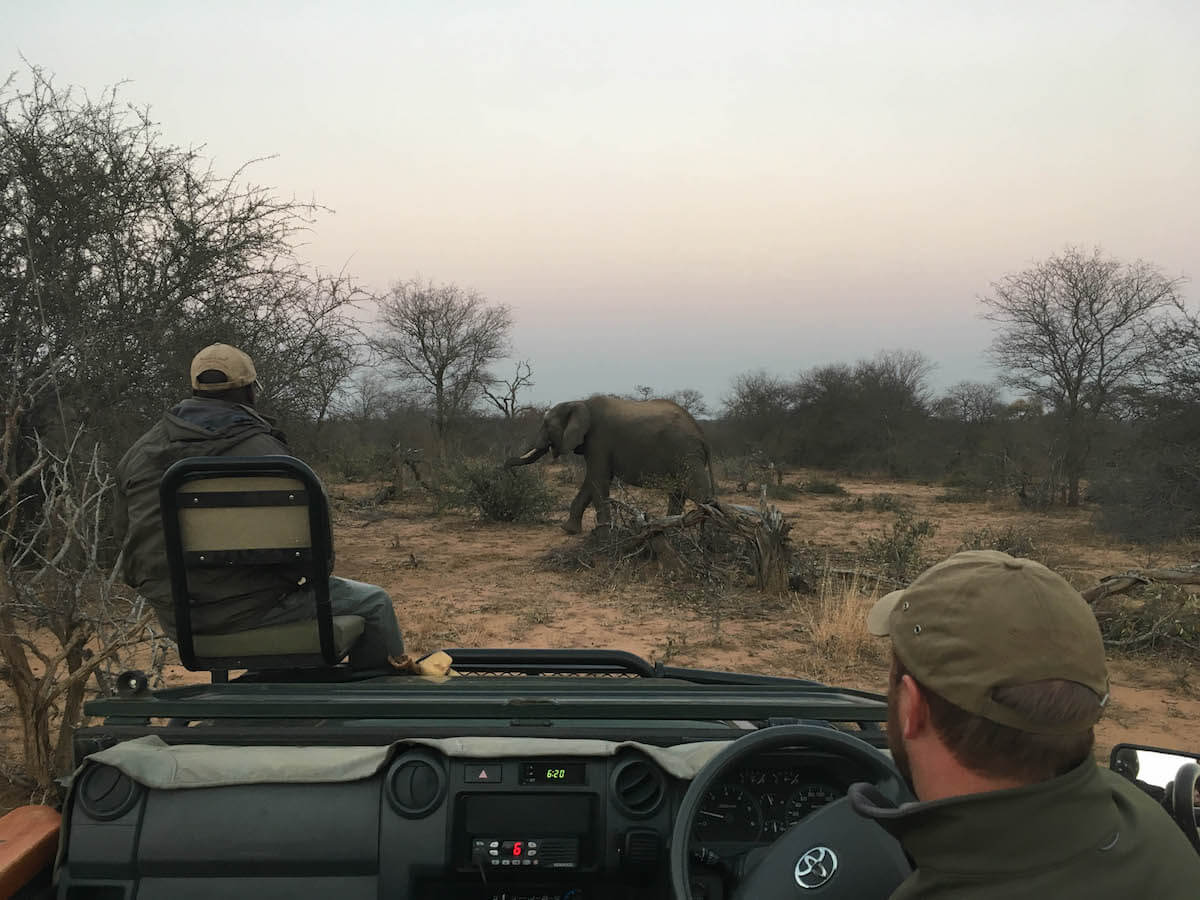Guide and ranger in the Kruger National Park