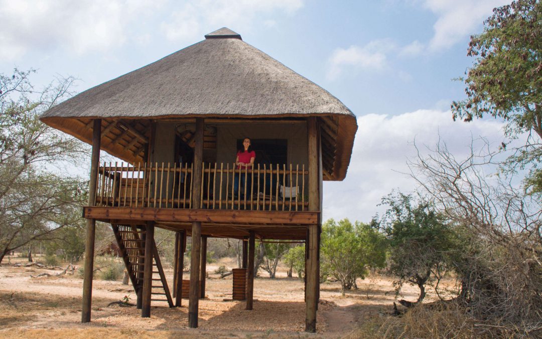 This treehouse will make you excited: nThambo Tree Camp