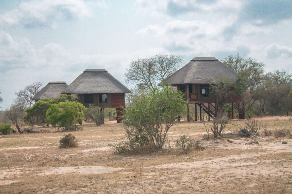 Nthambo Tree Camp - Klaserie Nature Reserve