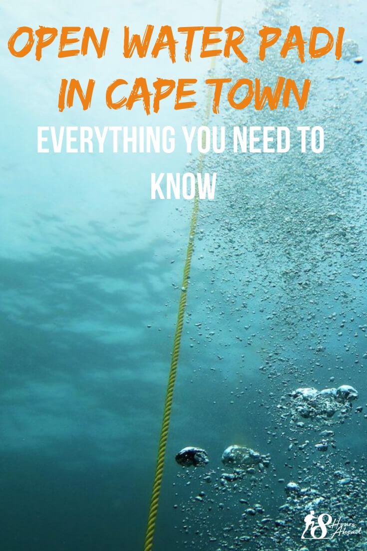 Open Water Certification in Cape Town: everything you need to know