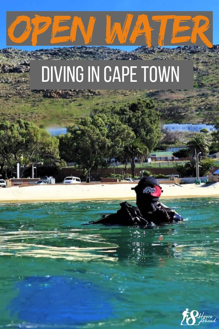 Open Water Certification in Cape Town: everything you need to know