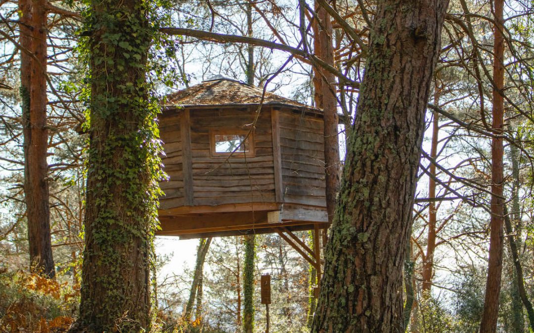 Staying at Cabanes als Arbres: eco-friendly treehouse in Catalunya