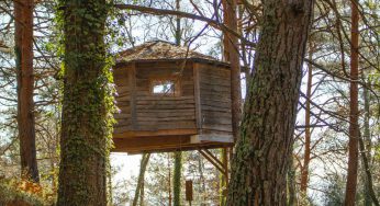 Staying at Cabanes als Arbres: eco-friendly treehouse in Catalunya