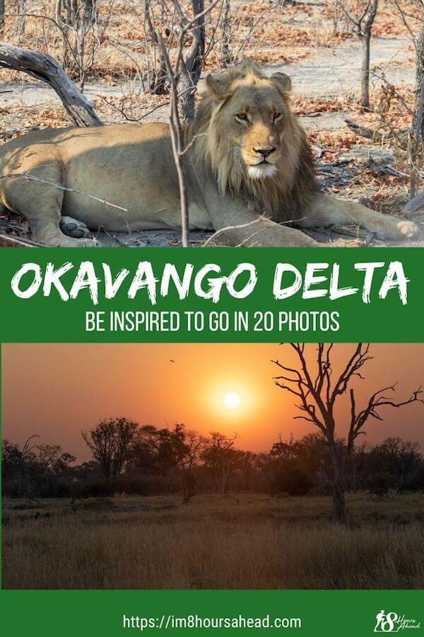 Be inspired by the Okavango Delta in just 20 photos